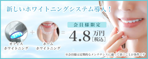 ホワイトニングシステム